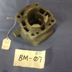 Cylinder Reconditioned 60cc 98' 99' 2000