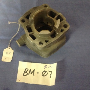 BM07